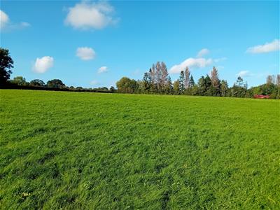 Click to view more details